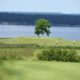 Golfclub mit Schleiblick